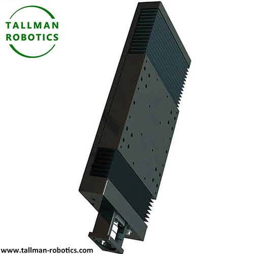 Heavy Duty Linear Rail Module